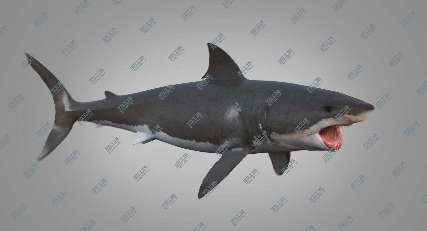 images/goods_img/202105074/3D White Shark Animated/5.jpg